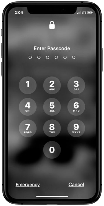 Passcode Removal Service